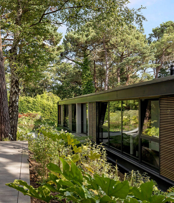 contemporary house surrounded by trees and plants