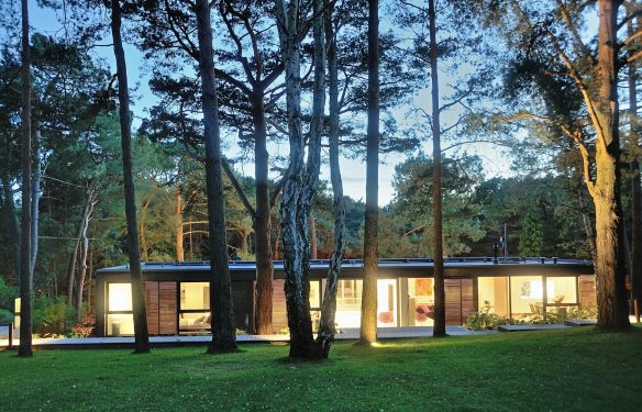 house amongst trees at dusk