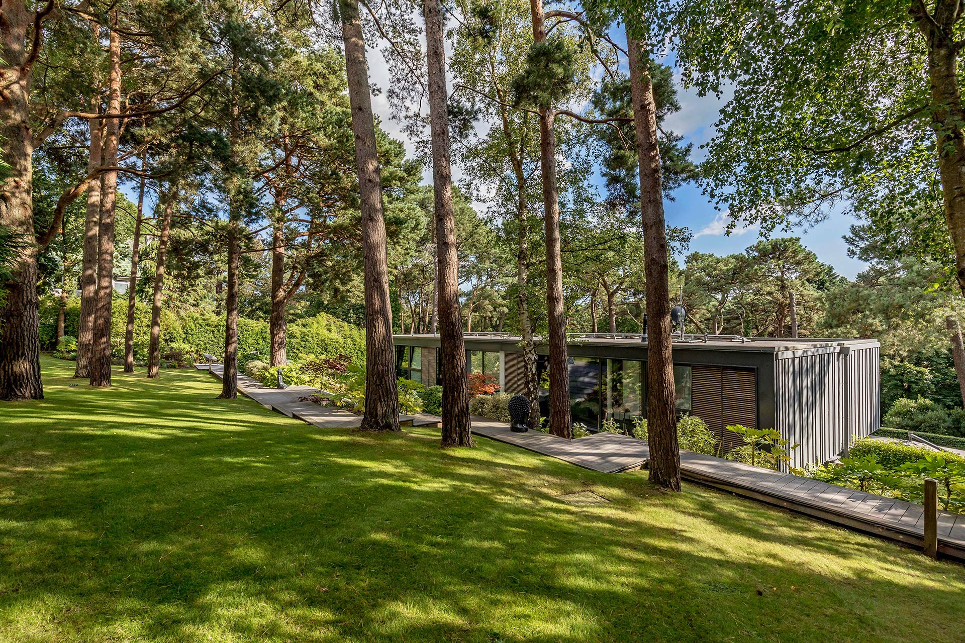 Rear of house amidst woodland