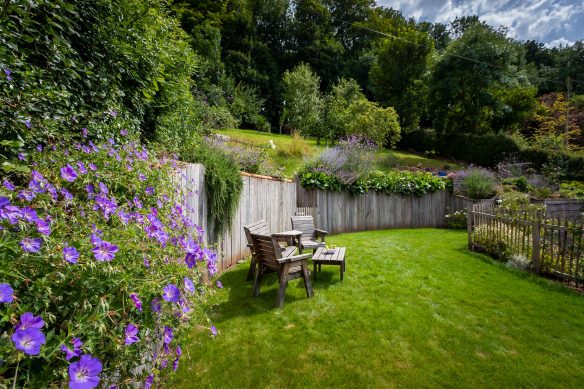 Garden with foliage and flowers.