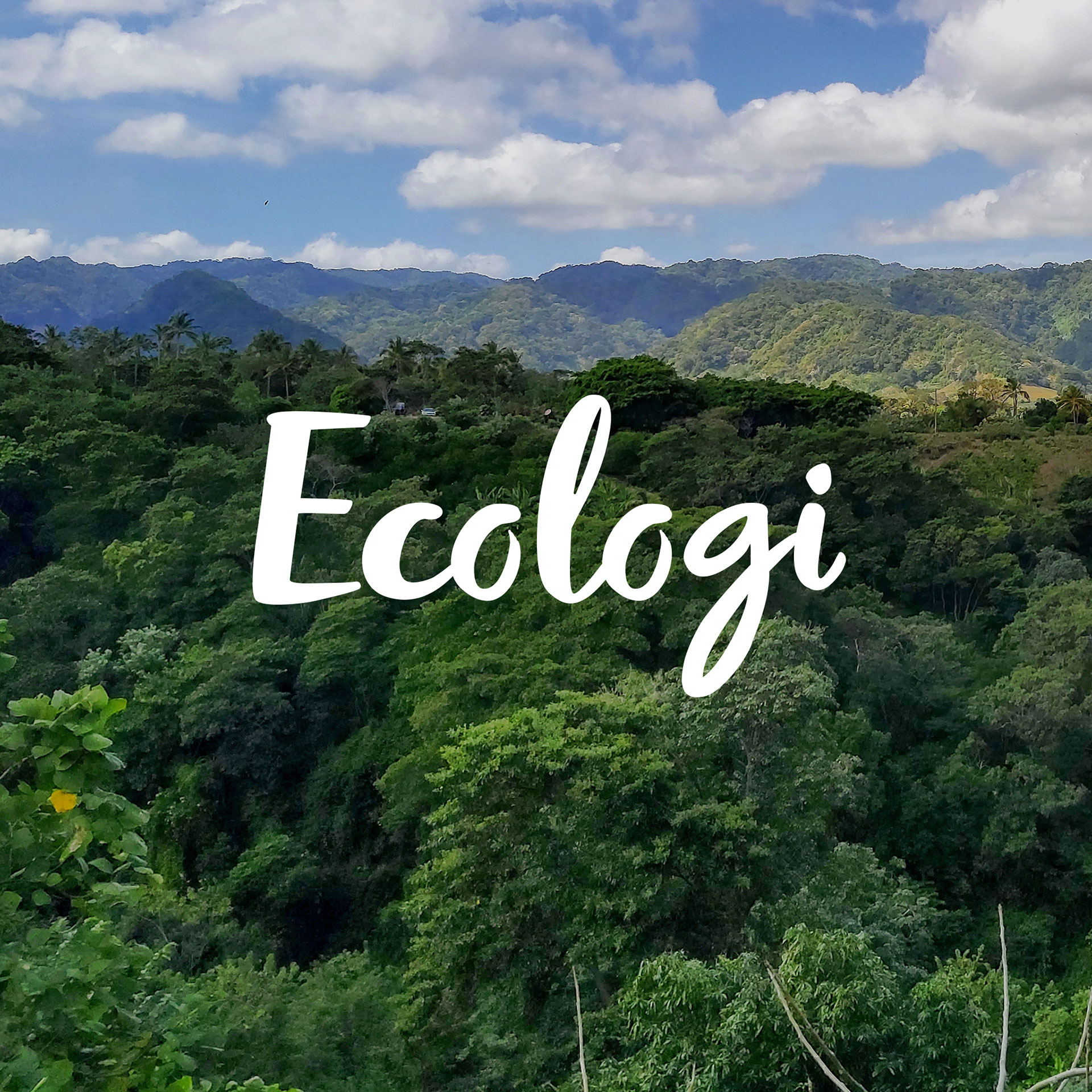 Ecologi brand