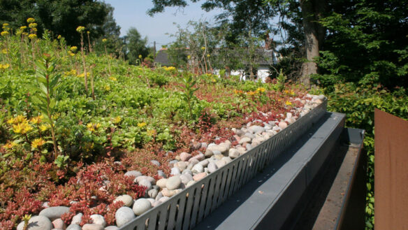 green roof with guttering