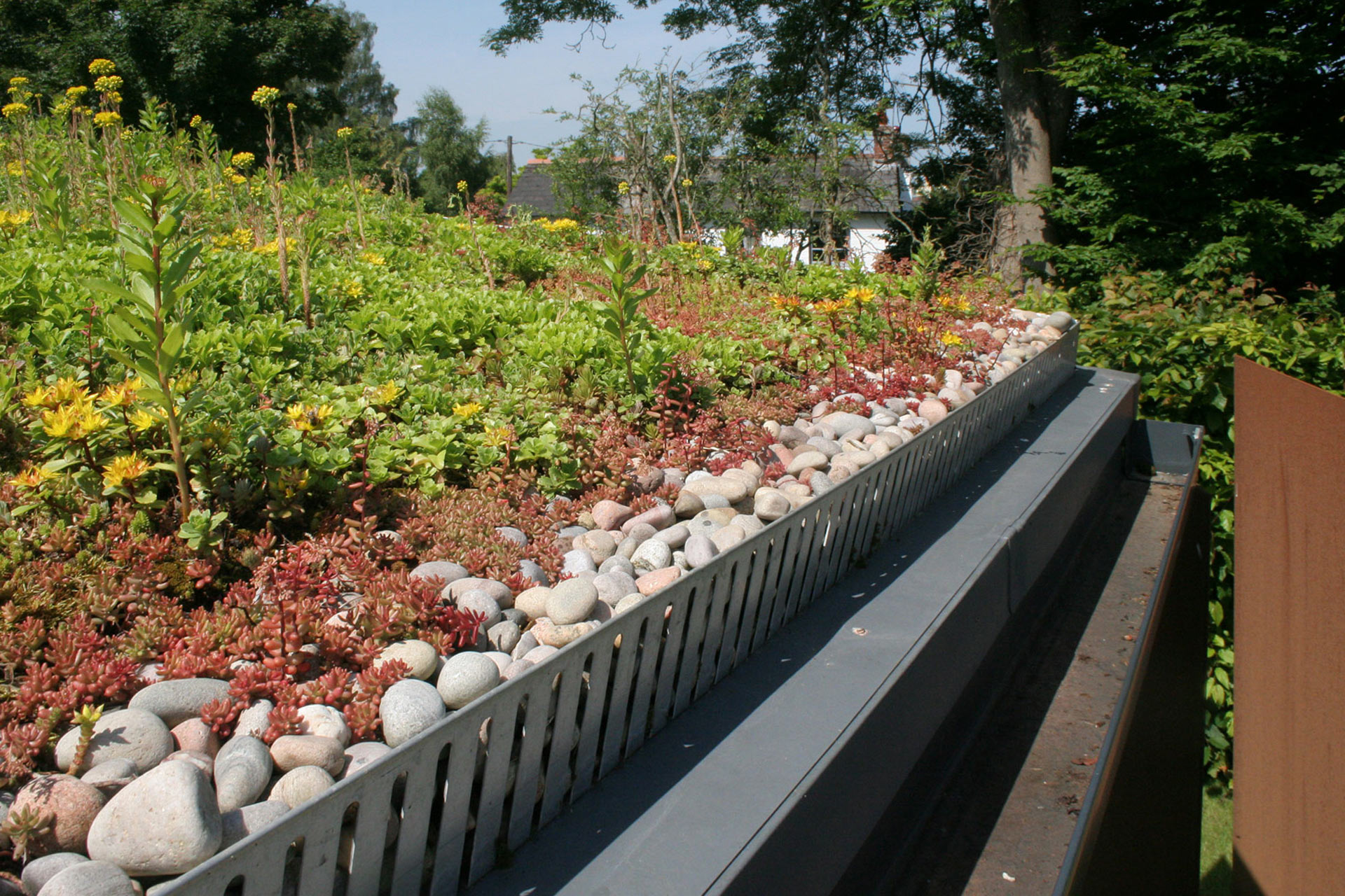 green roof with guttering