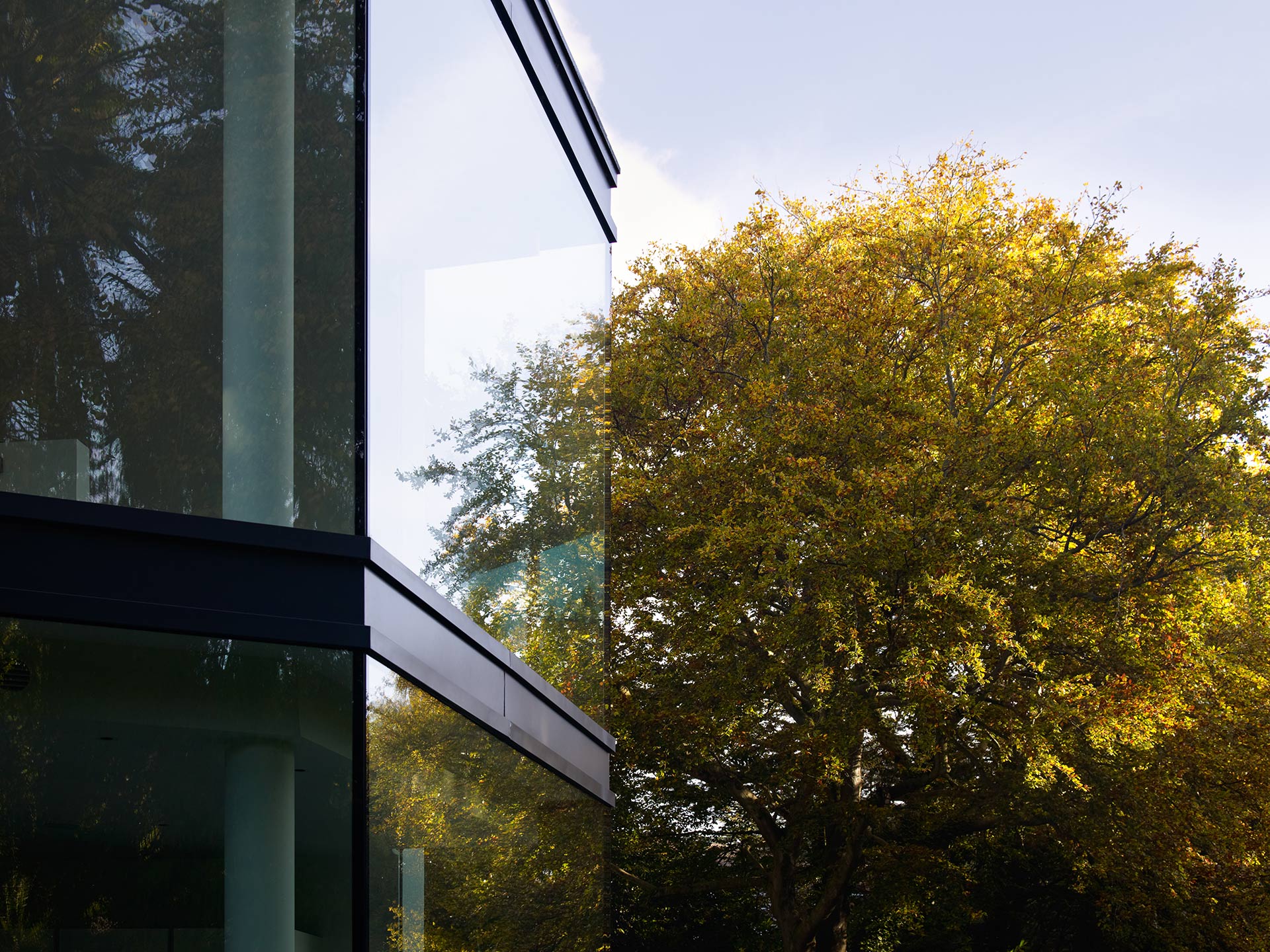 Close up view of glazing with light of trees at dusk