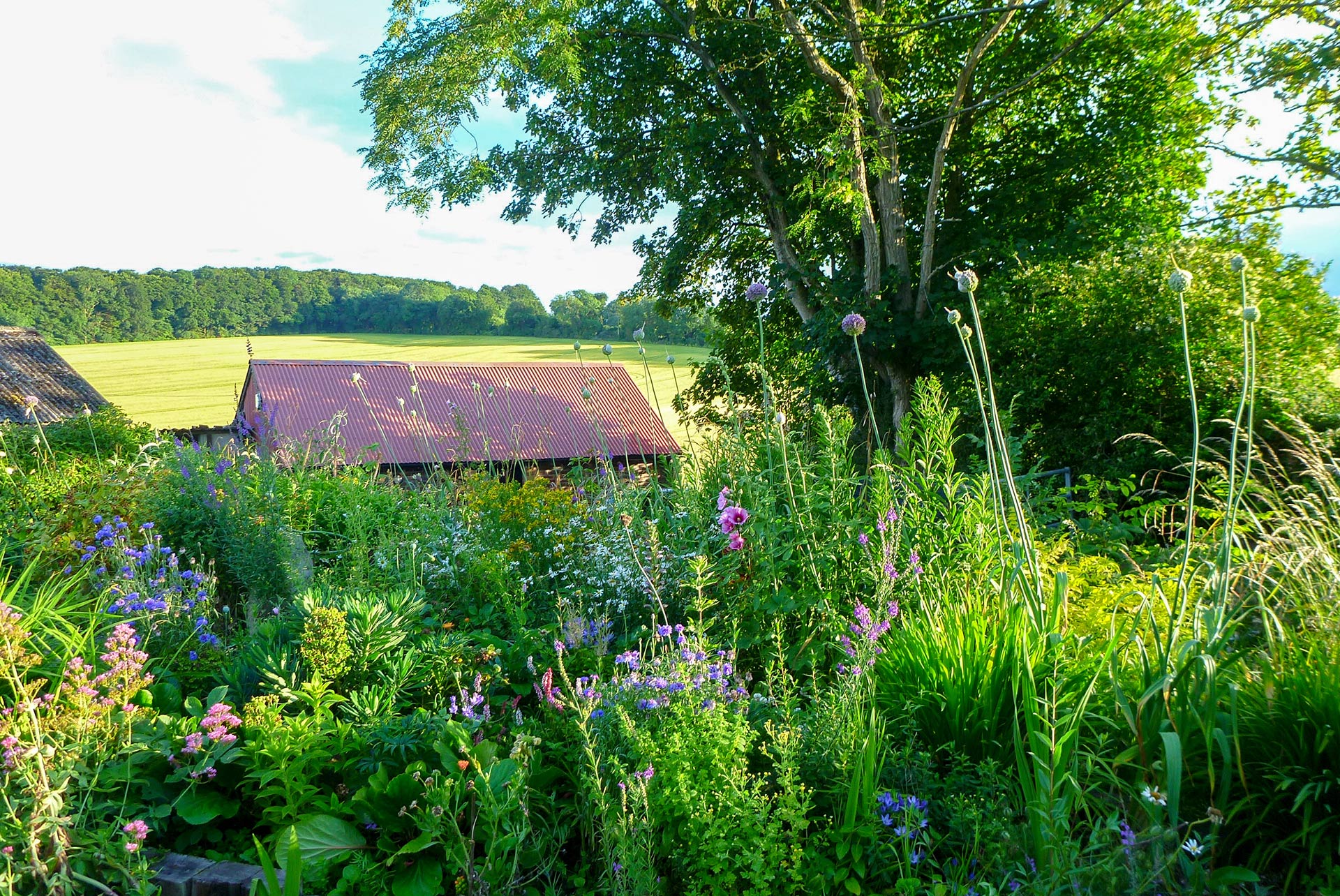red tile roof to barn behind flower meadow