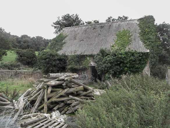 existing barn in overgrown bushes