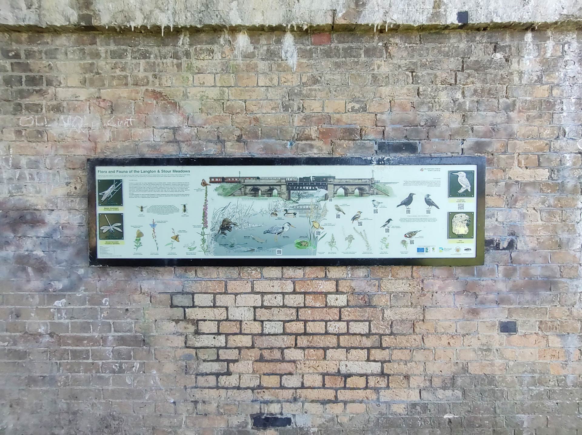 information sign about flora and fauna of area attached to brickwork