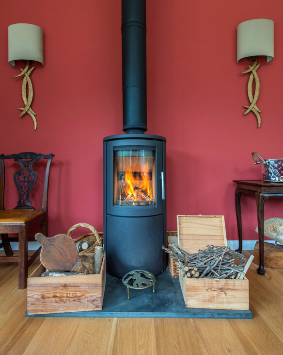 detailed view of lit log burner in front of red wall