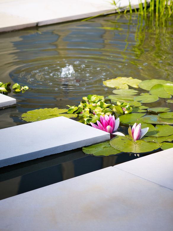 water feature in pond with lilies and stepping stone