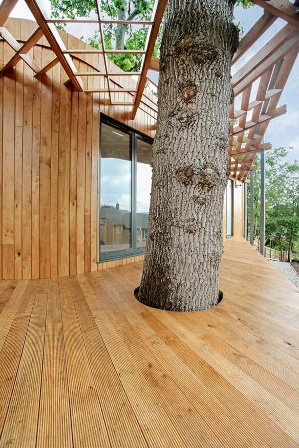 decking area outside modern timber house with decking surrounding a tree