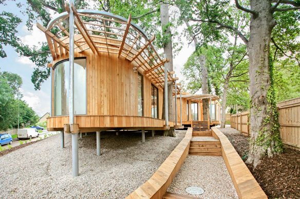 main entrance to wood cladded house surrounded by trees