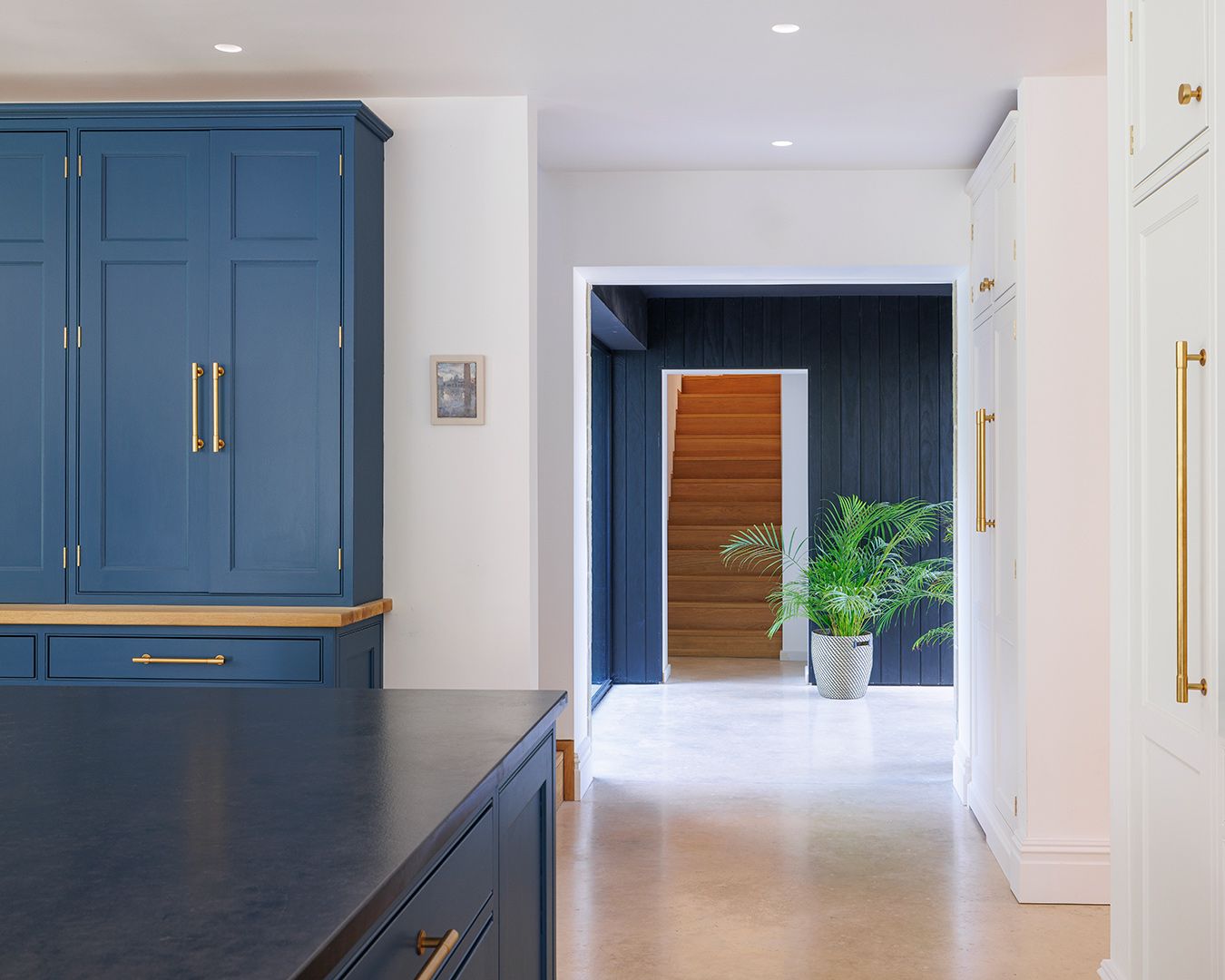 timber stair detail with dark blue walls and large indoor plant taken from kitchen