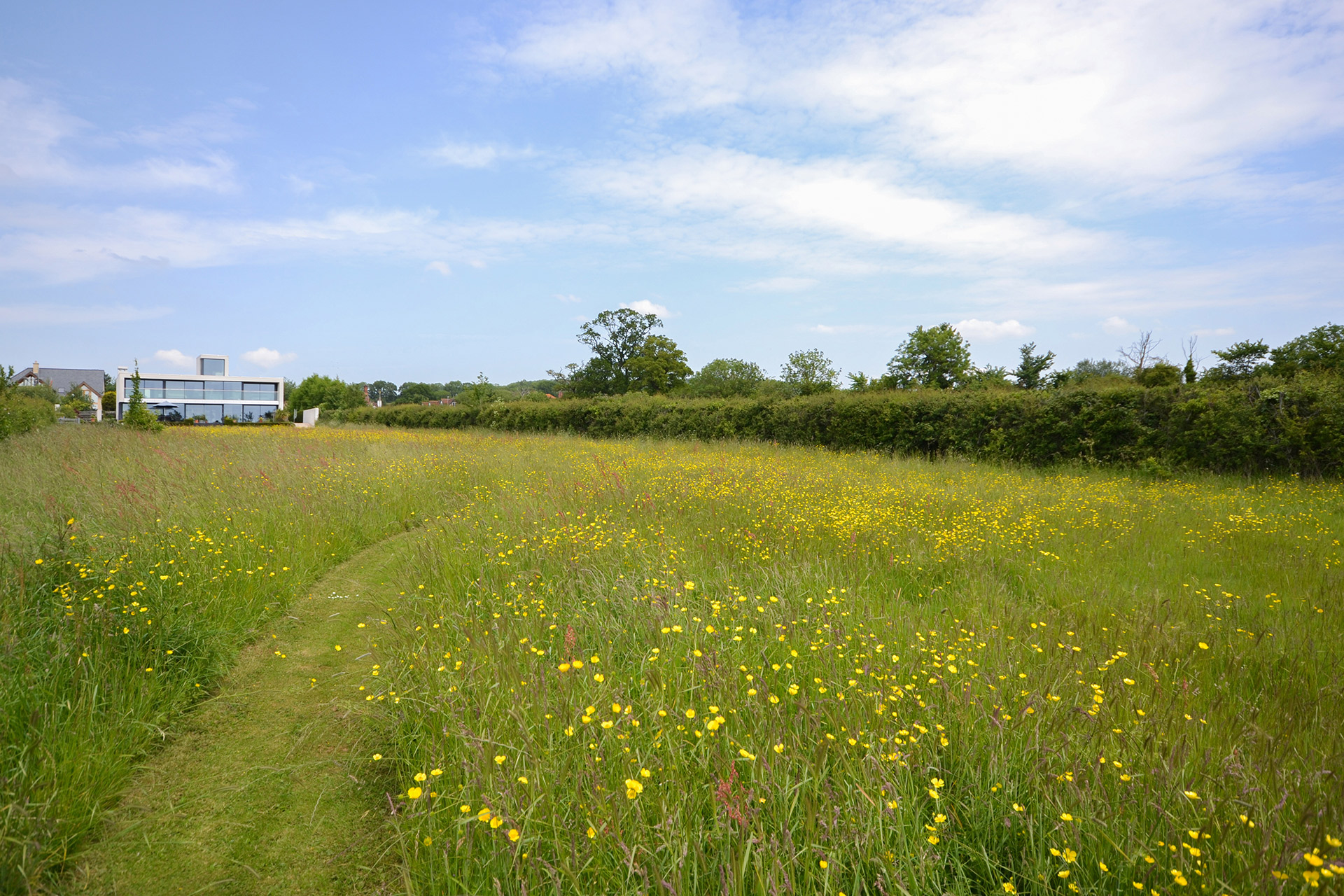 distance view of contemporary house from end of garden with large wildflower meadow