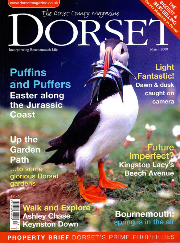 Dorset magazine front cover 2008