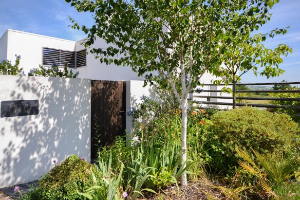 entrance to house with trees and bushes in front