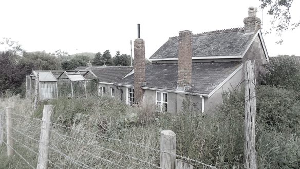 before photo of house with overgrown garden