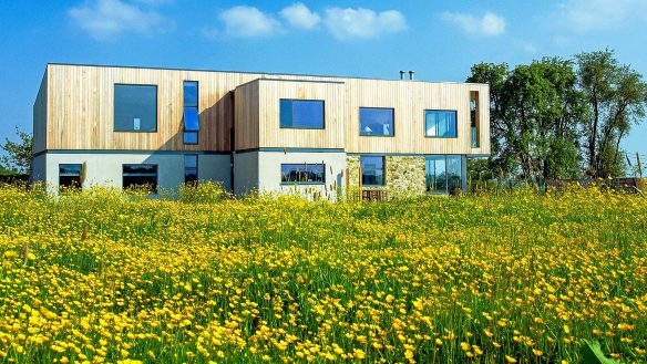 distant view of contemporary timber clad house across buttercup flower meadow