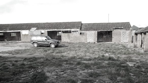 before photo of barns surrounding large courtyard