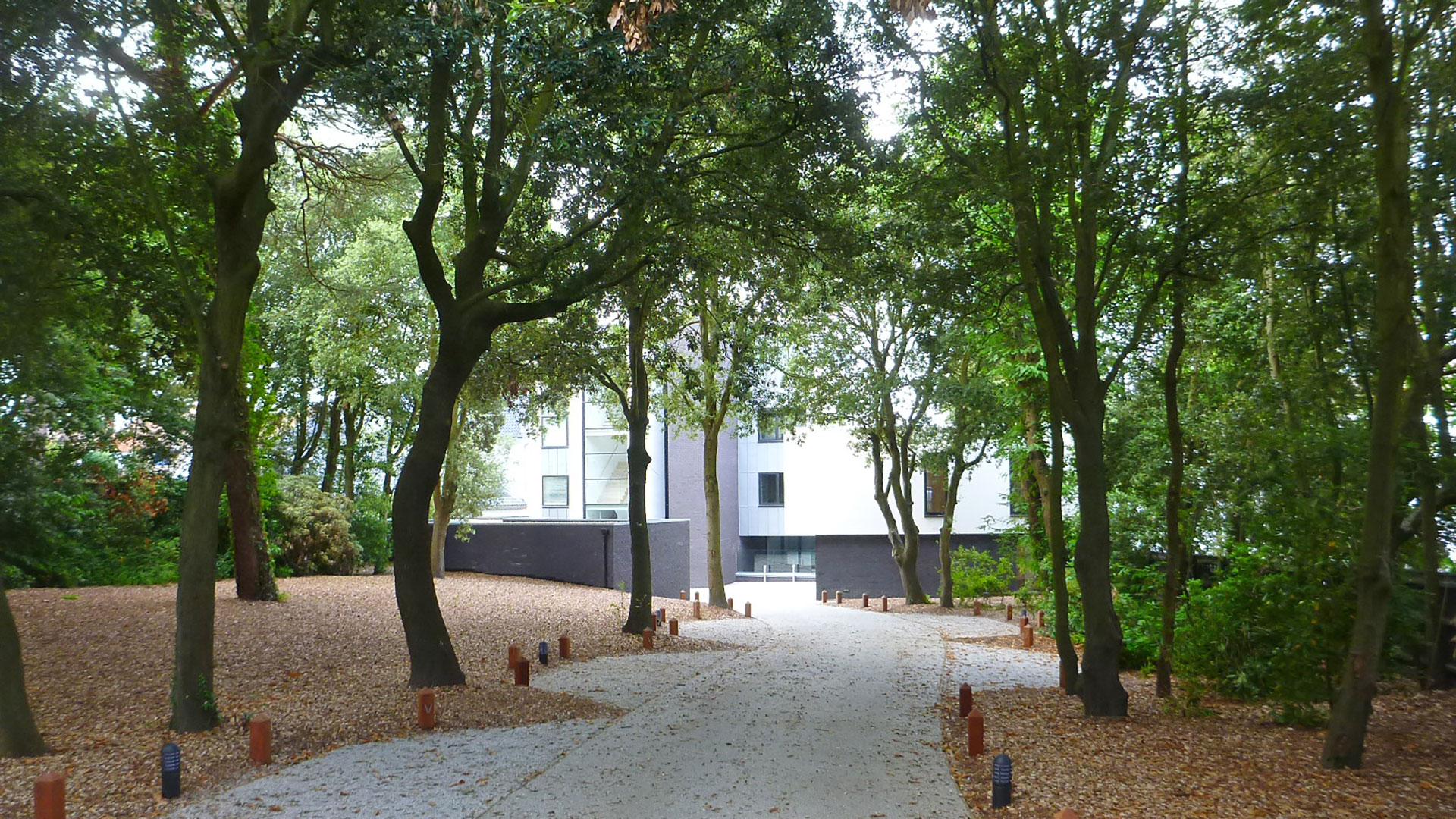 approach tree lined road to modern apartments