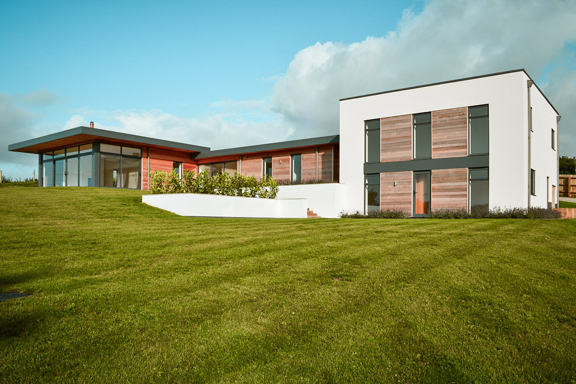 Contemporary house with timber cladding and white walls