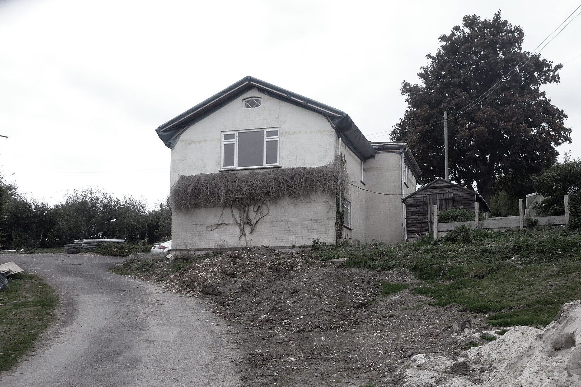 before photo of house with overgrown garden