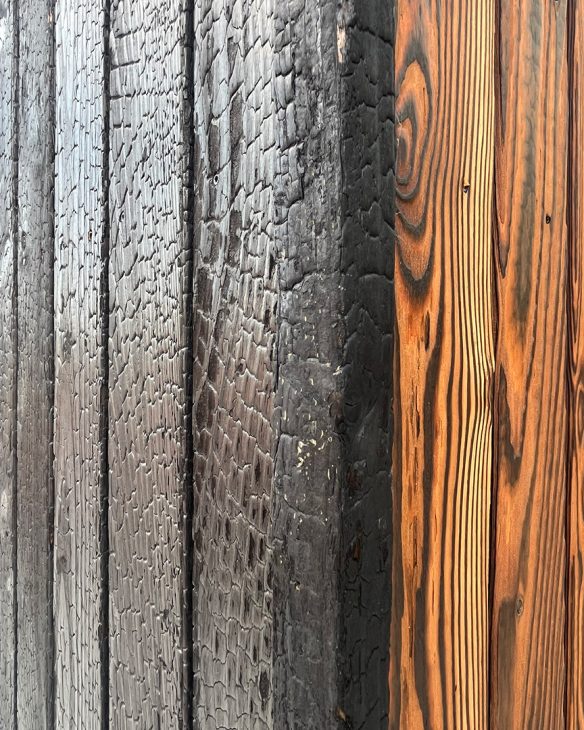 detail of blackened charred timber cladding against natural