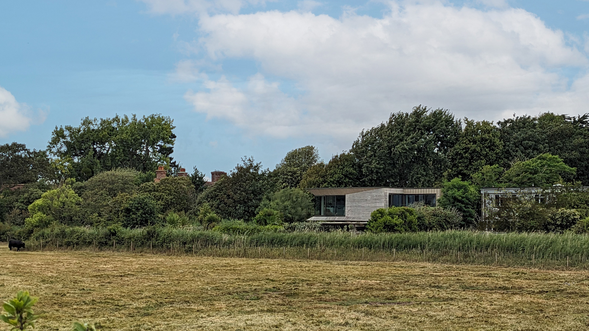 extension of house with timber cladding, hidden in the trees