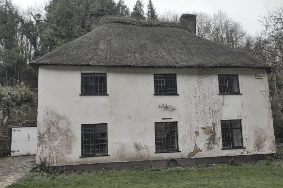 before photo of front view of thatched house