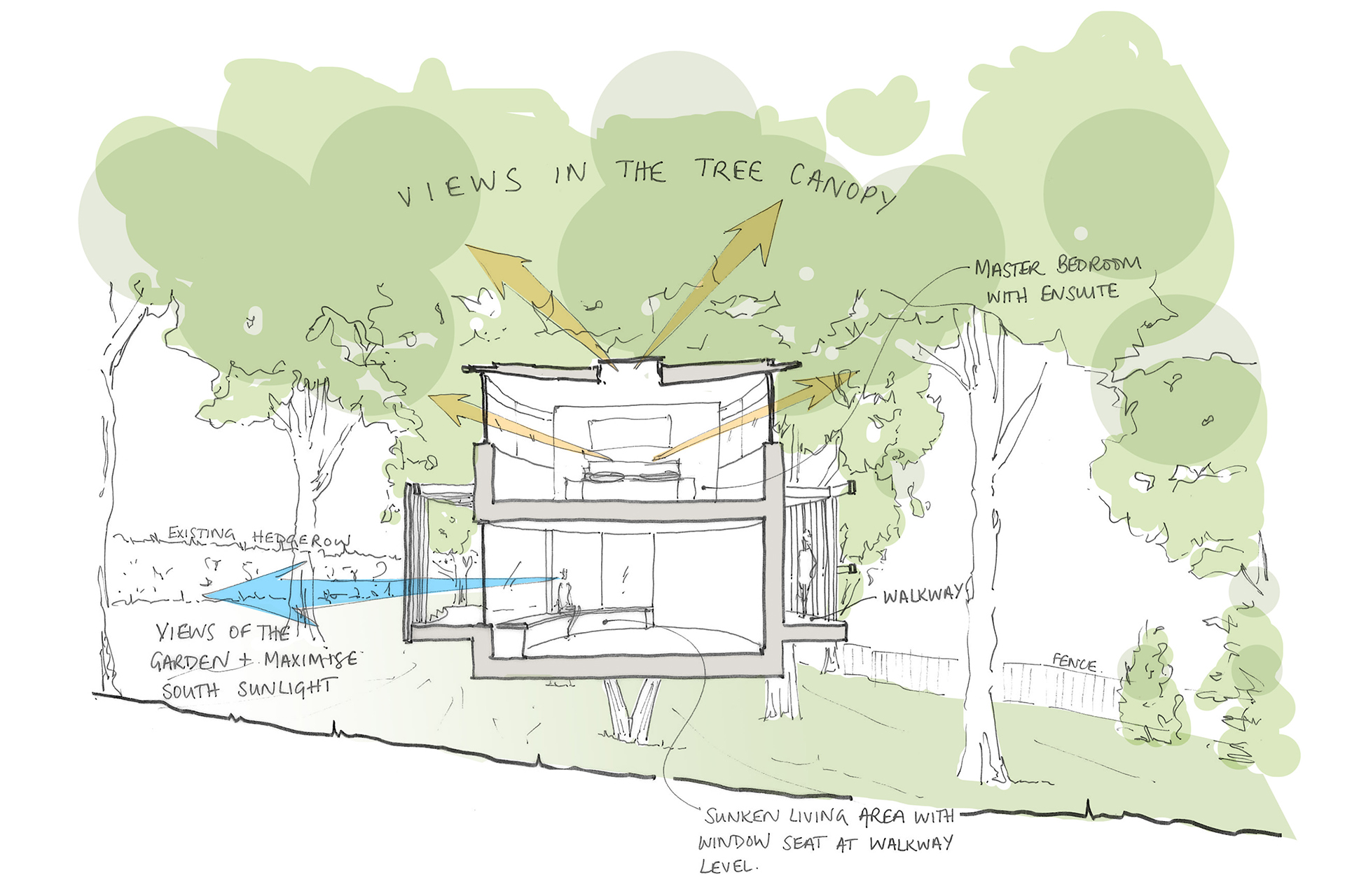 Sketch section of house in treehouse style
