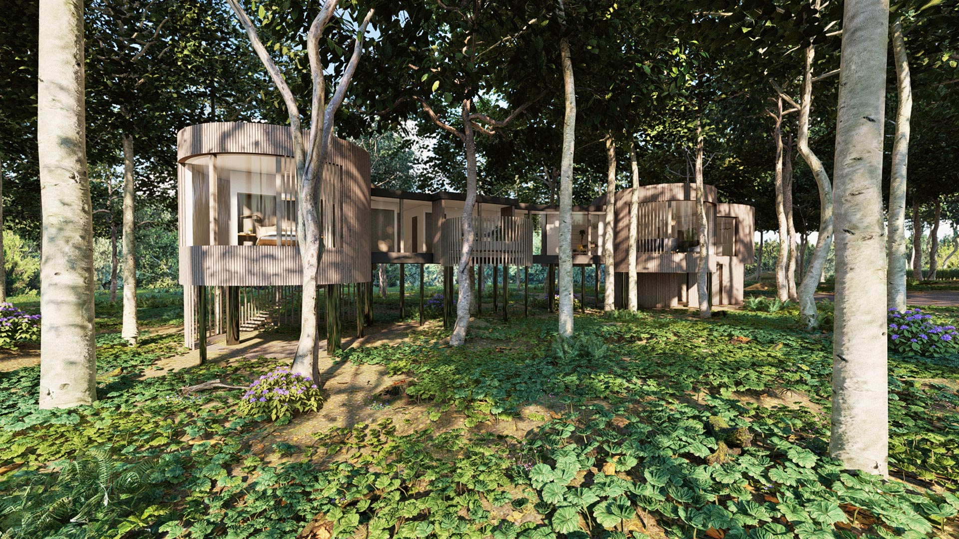 Concept visual for residential woodland tree house