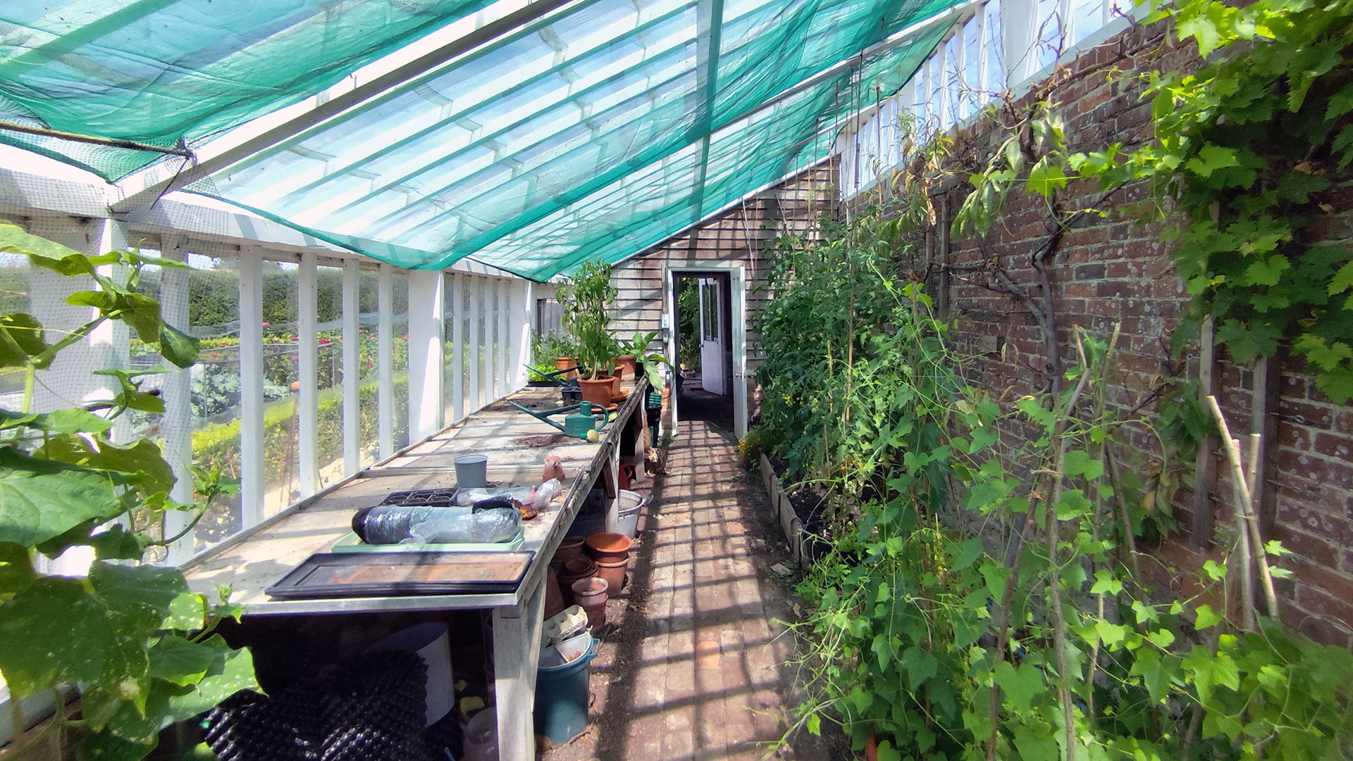 interior of a greenhouse with a sloping glass roof